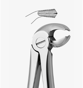 TOOTH FORCEPS N.23 - 2500/23