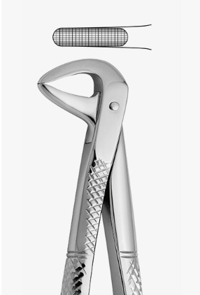 TOOTH FORCEPS N.122 - 2500/122