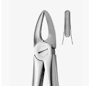 TOOTH FORCEPS N.29 - 2500/29