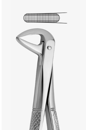TOOTH FORCEPS N.137 - 2500/137