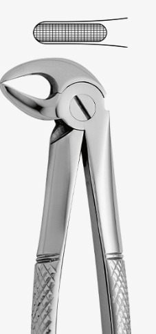 TOOTH FORCEPS N.33 - 2500/33