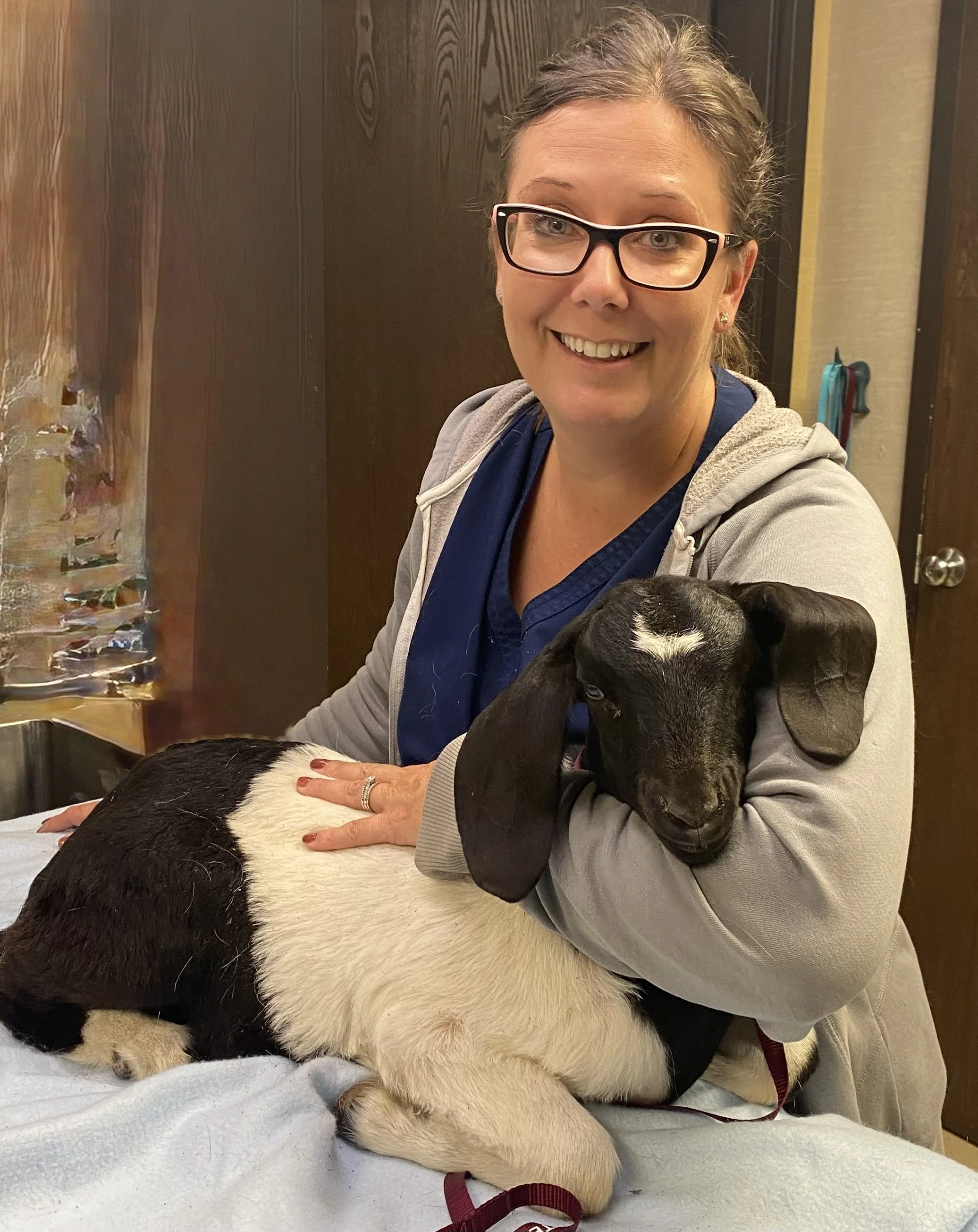 A smiling woman in glasses and gray hoodie holding a young black and white goat on an examination table in a veterinary office.