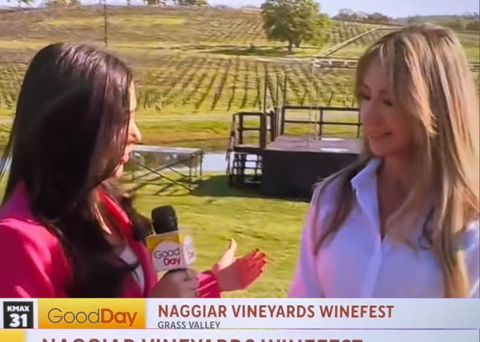 Naggiar Vineyards on GoodDay Sacramento: Weekends Poured, Views for Days, and Winefest All Season