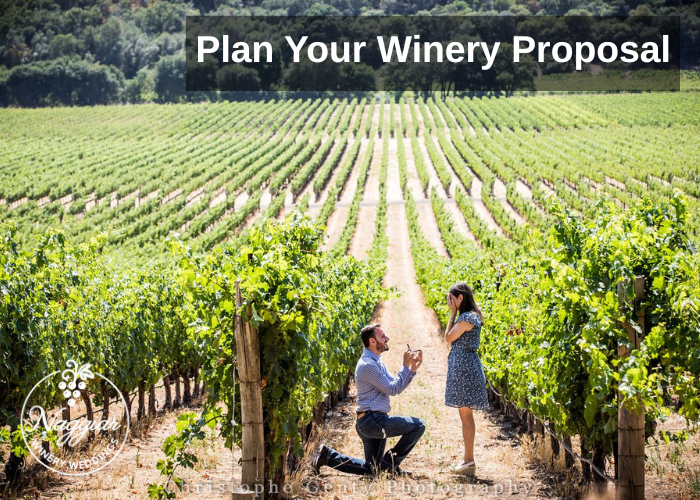How to Propose at a Winery (Romantic, Photogenic, Zero Awkwardness)