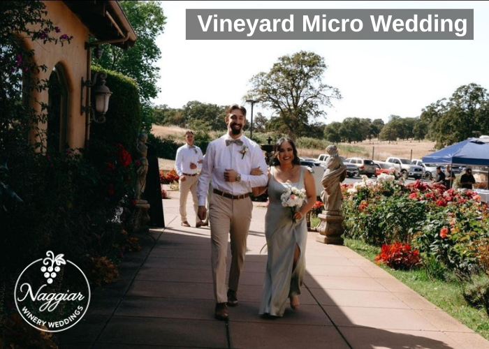 Vineyard Micro Wedding Guide (Sierra Foothills)