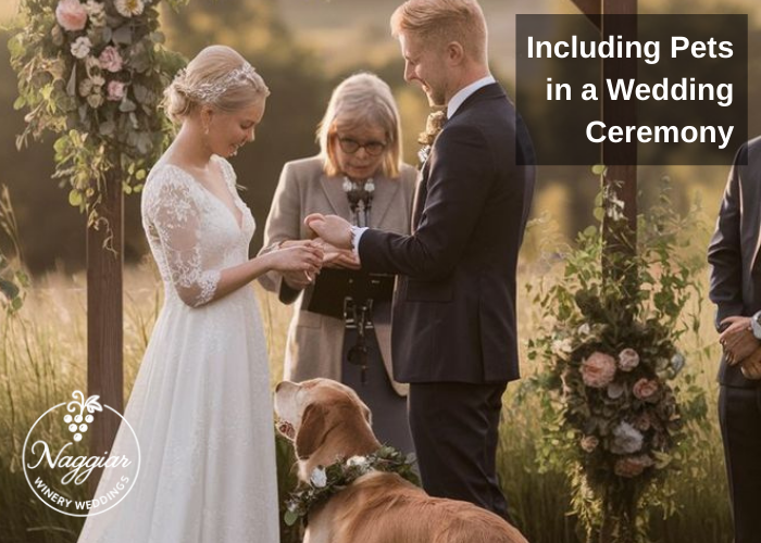 Including Pets in a Wedding Ceremony: A Stress-Free Guide
