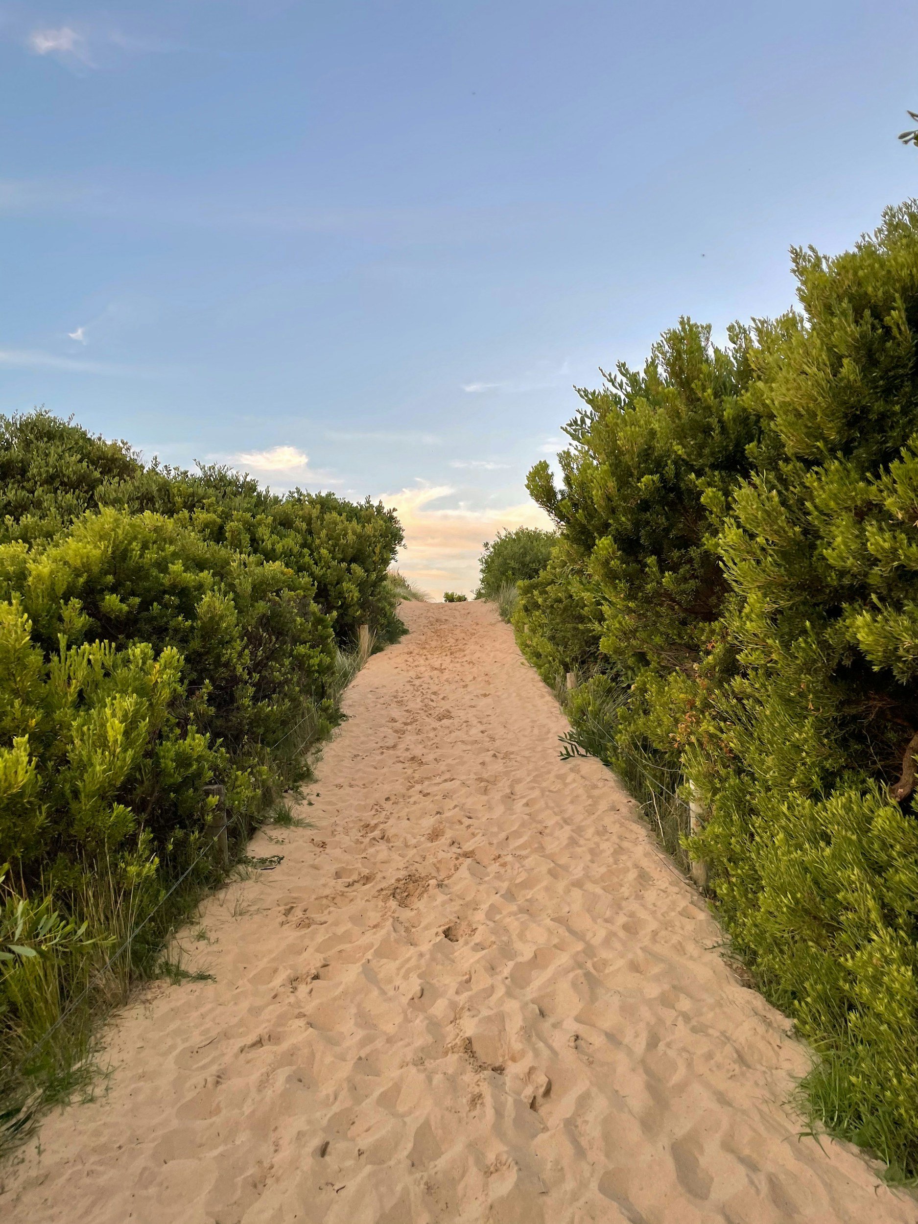 A sandy pathway leading through lush green bushes, with a clear blue sky and some clouds above.
