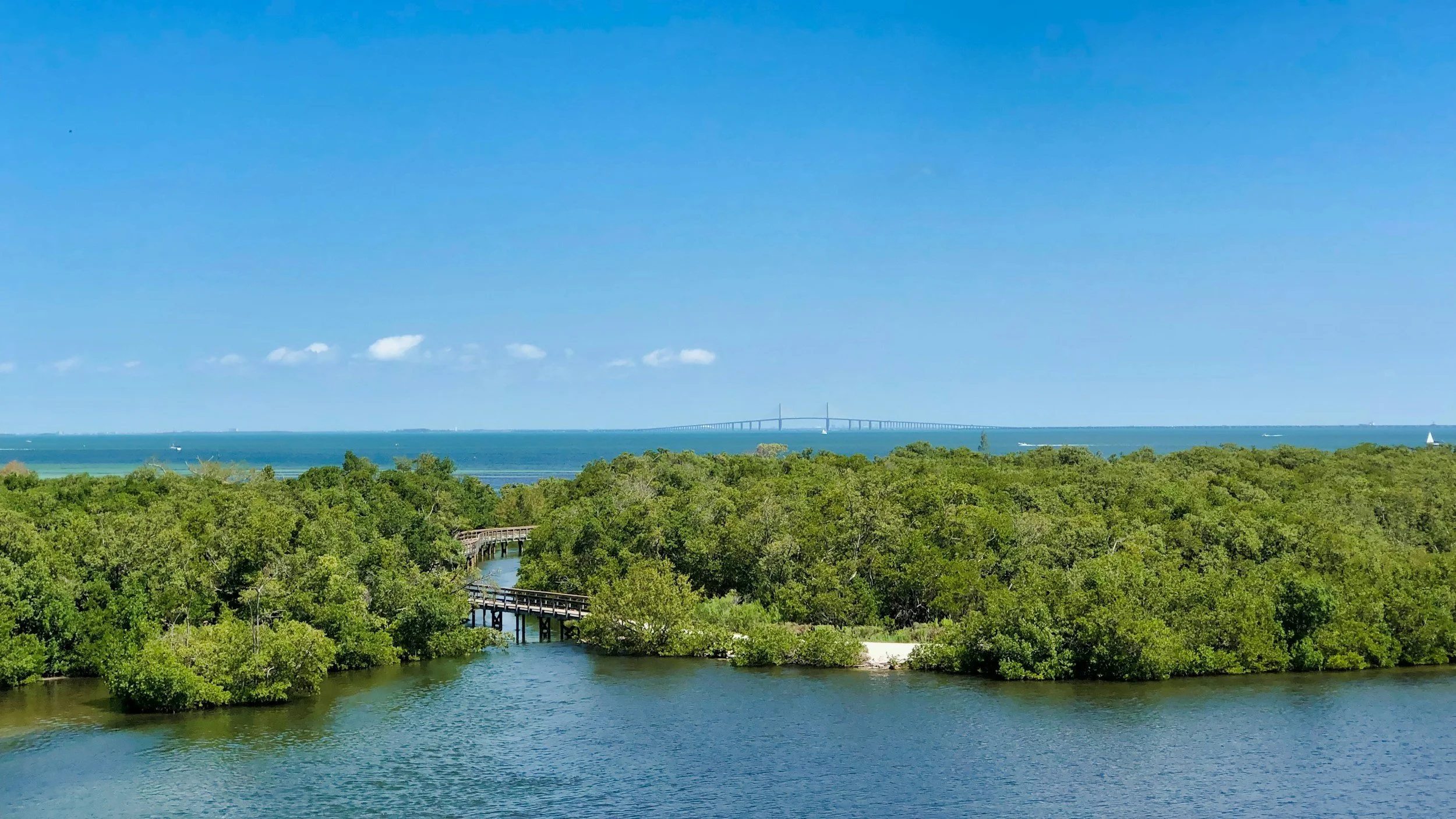 A scenic view of a body of water with a bridge in the background, lush green trees along the shoreline, and a clear blue sky overhead.
