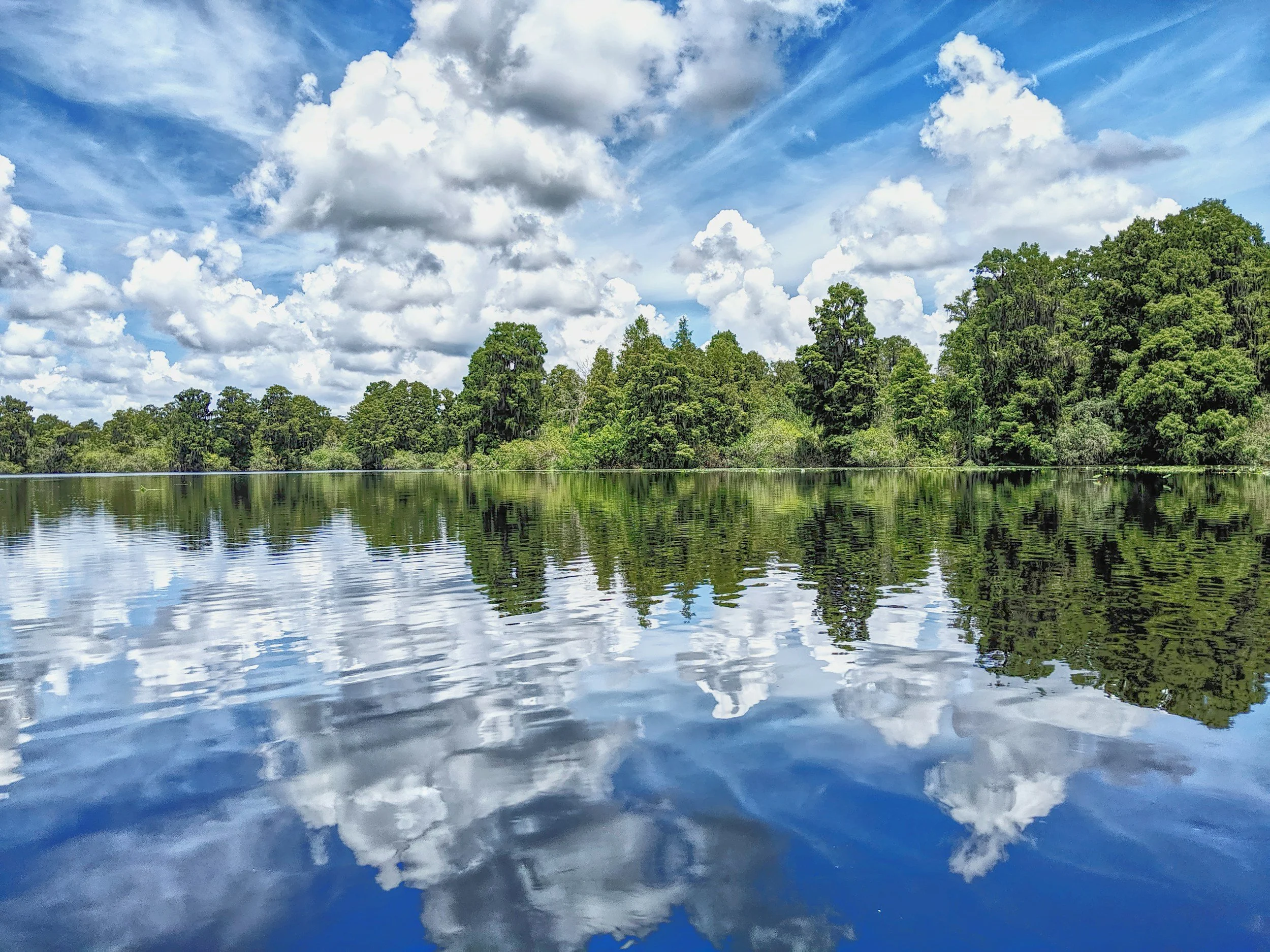 A calm river reflecting a partly cloudy blue sky with white clouds and green trees along the riverbank.