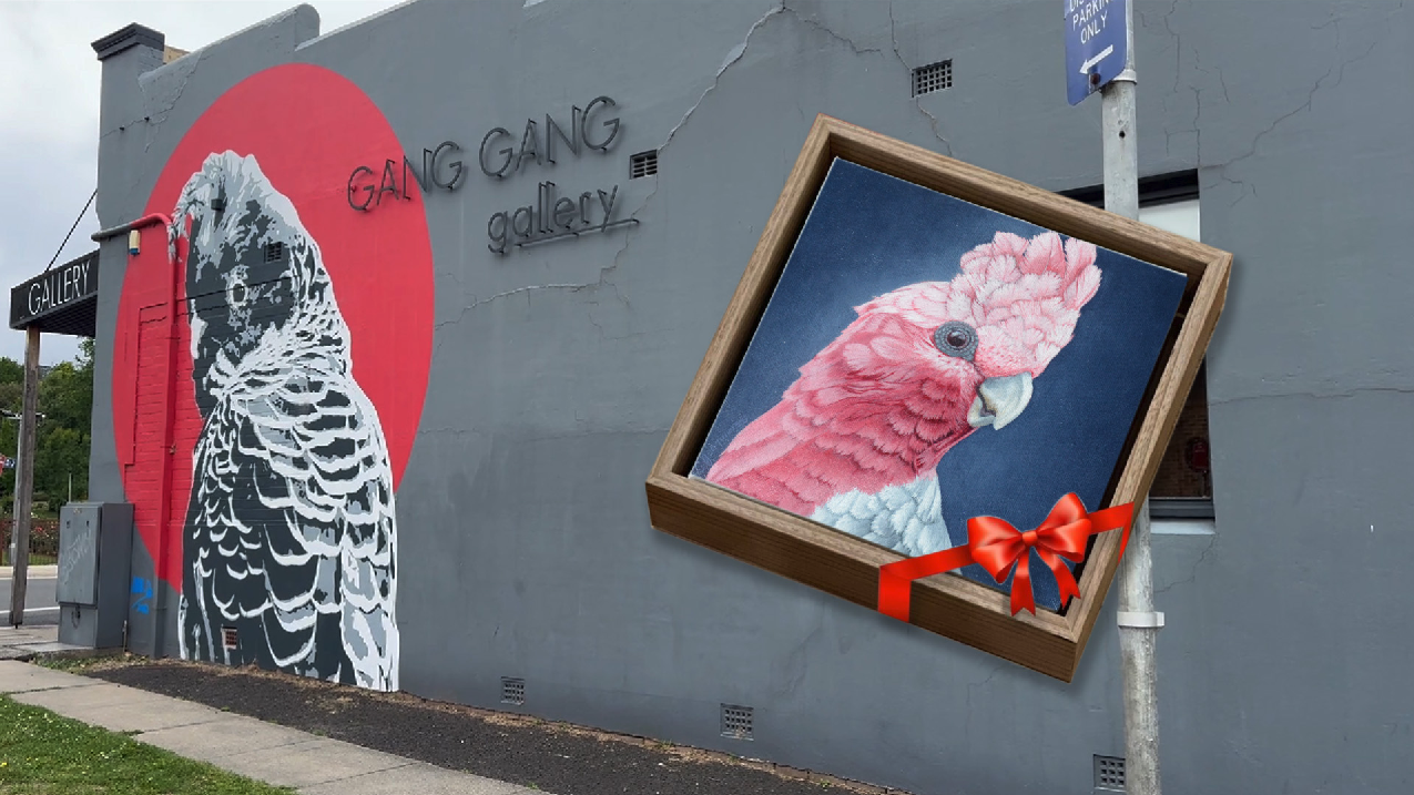 Gang Gang Gallery, Lithgow NSW. A series of cinema advertisements for the Mt Vic Flicks.