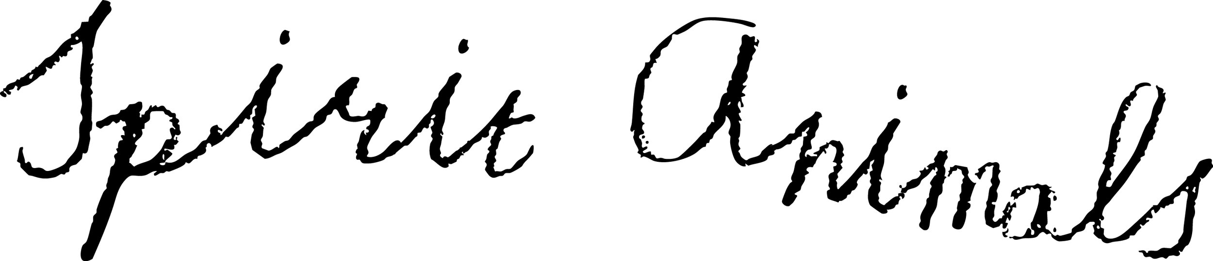 Handwritten signature reading "Spirit Animals" in black ink.