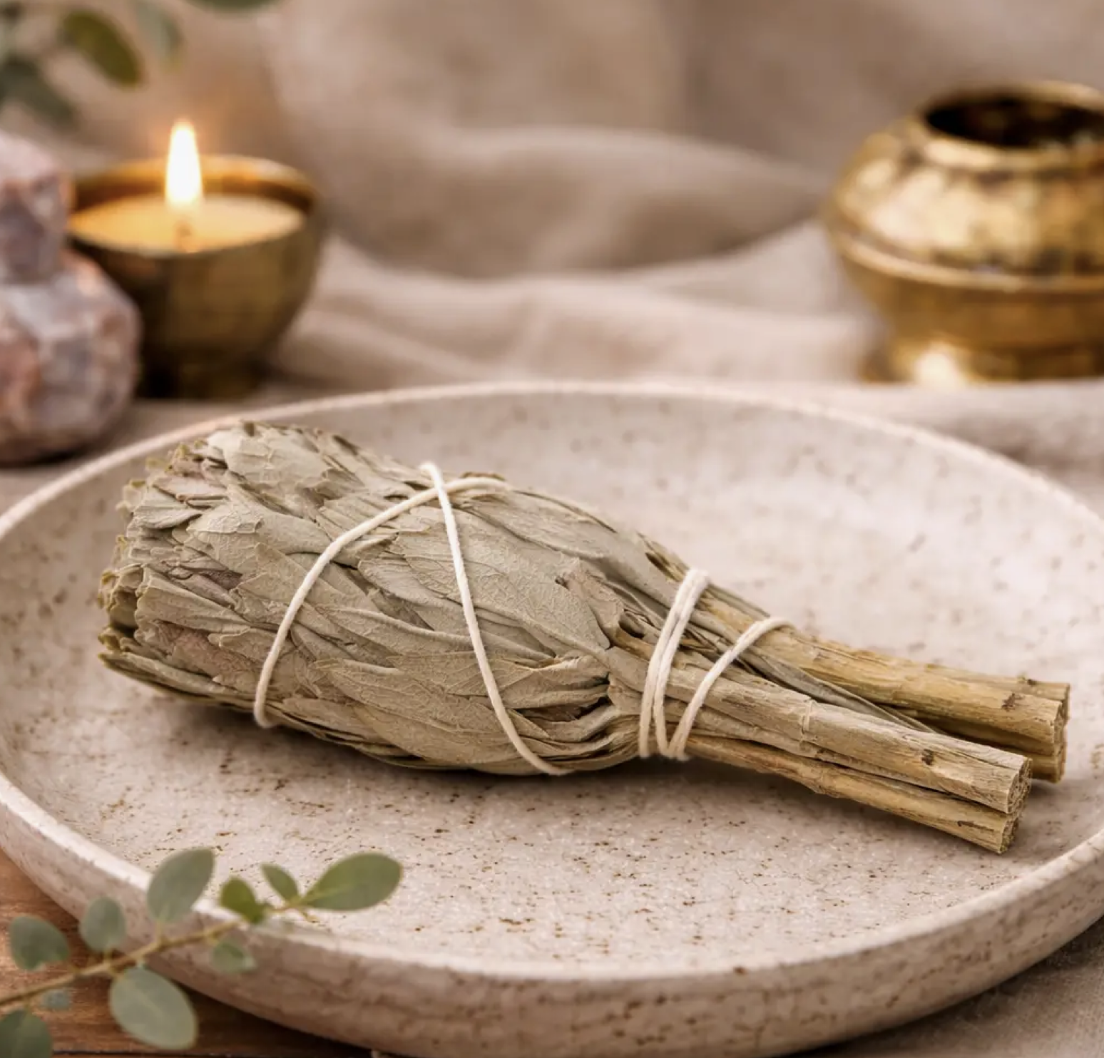 Screenshot 2026-03-11 at 23.10.02.png