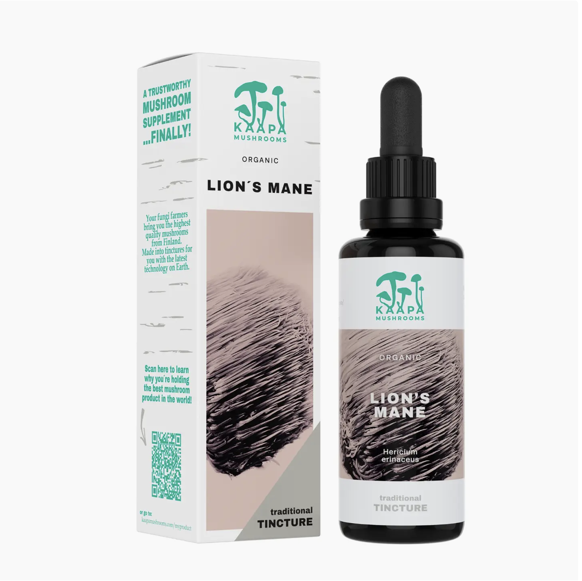 Lions Mane Mushroom Tincture
