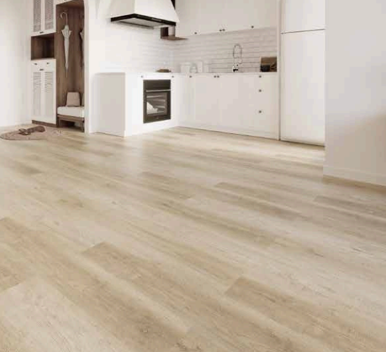 Screenshot 2025-12-15 8.47.03 AM.png