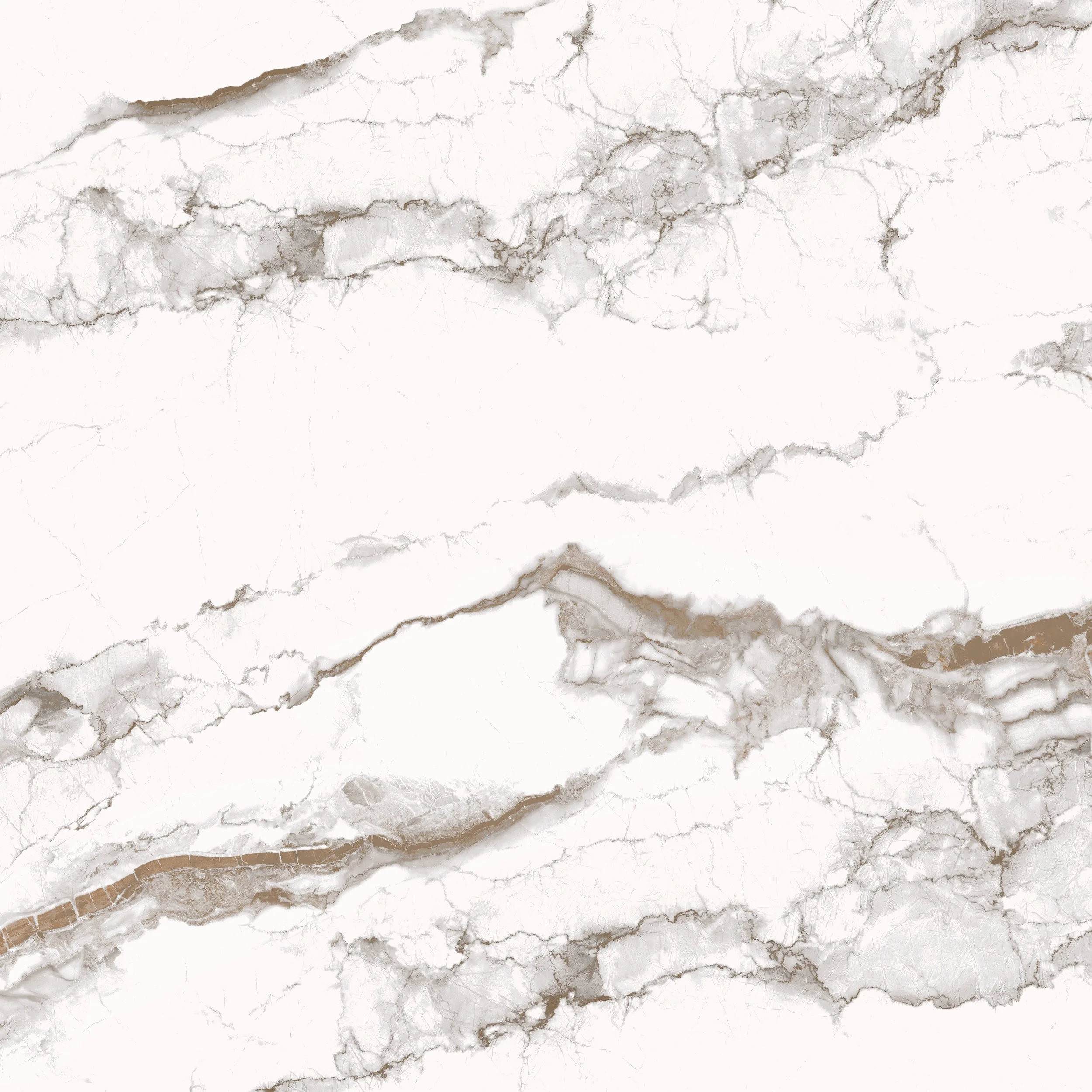 RA808TA144LAP_FACE 3.jpg