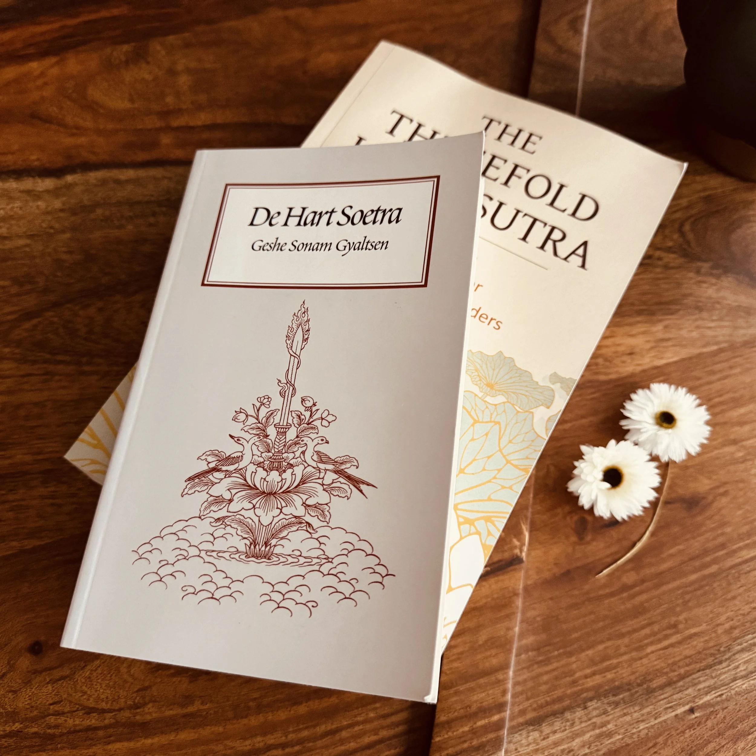 Getting my heart ready — Part 2