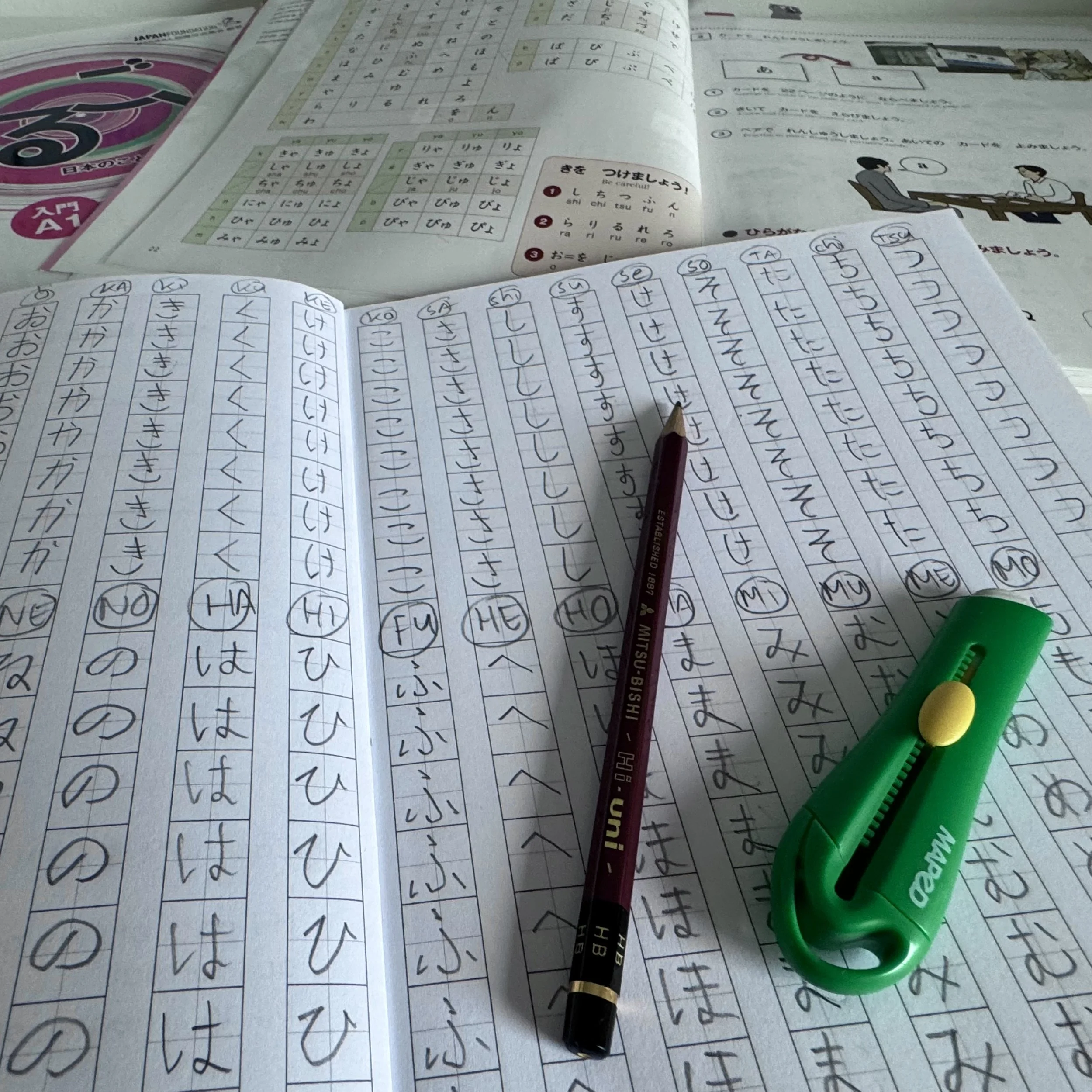 Nihongo ga sukoshi dekimasu