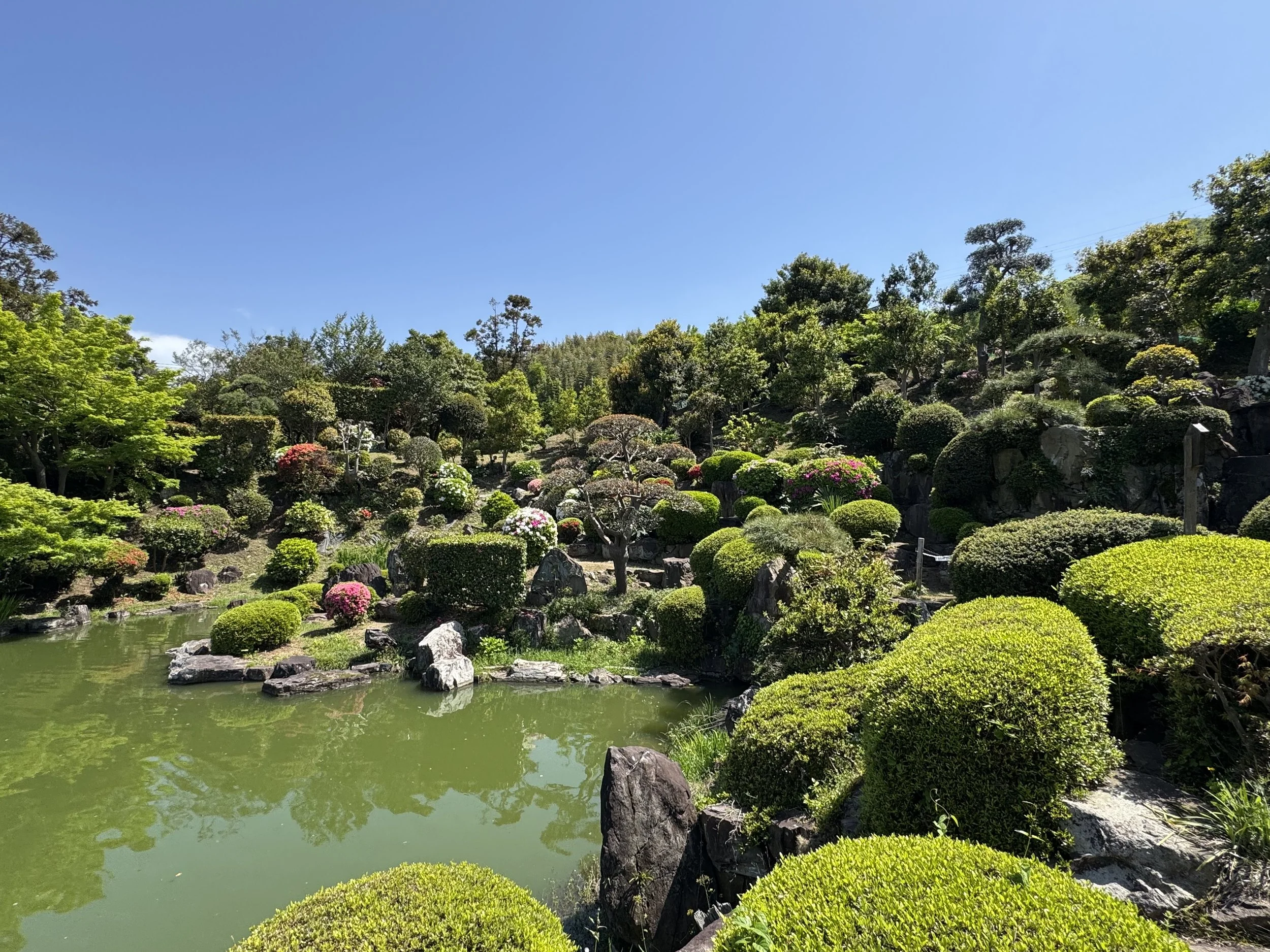 IMG_1413.jpeg