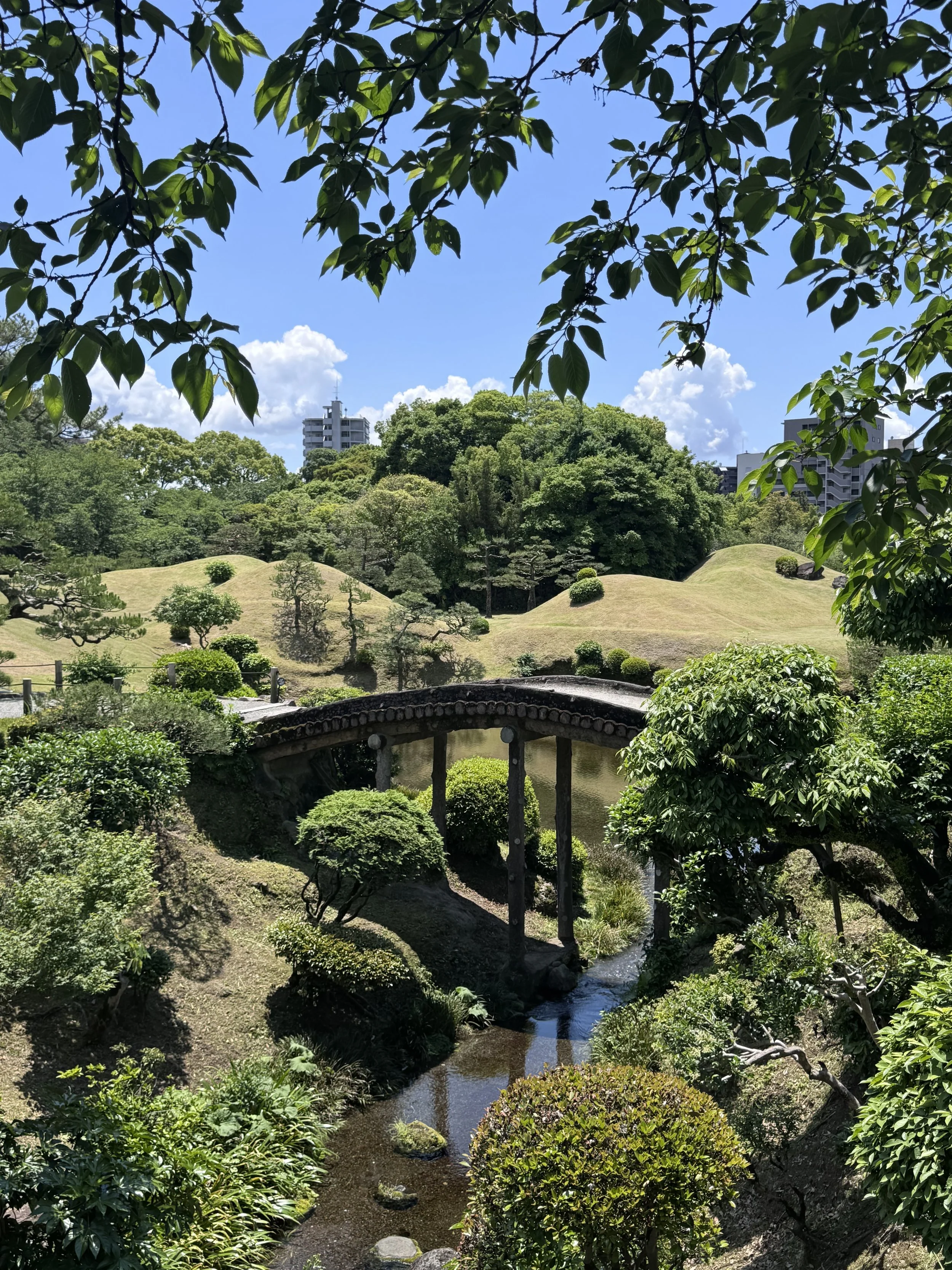IMG_2522.jpeg
