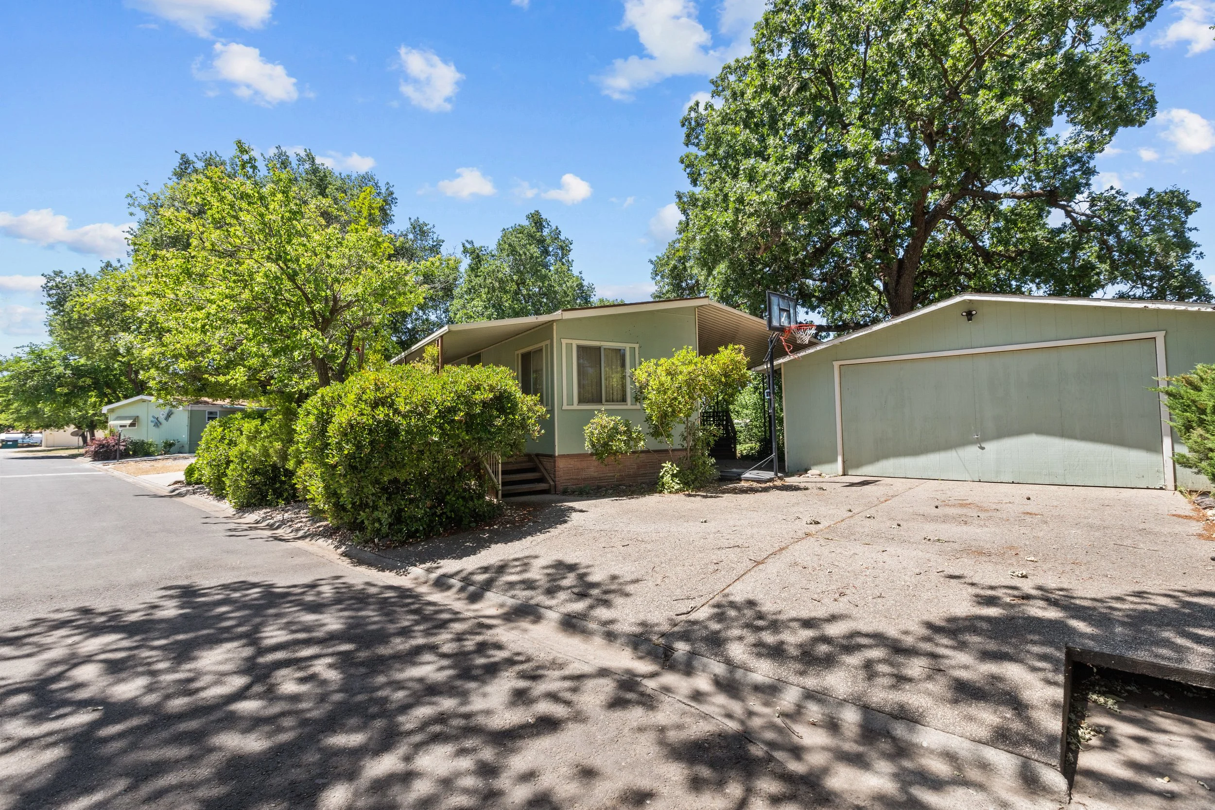 A green house with bushes and trees in the front yard, a driveway, and a basketball hoop, during a sunny day.