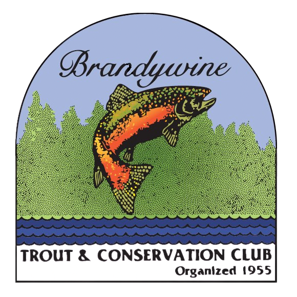 Brandywine Trout &amp; Conservation Club