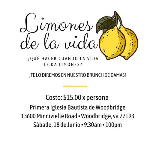 BRUNCH PARA DAMAS