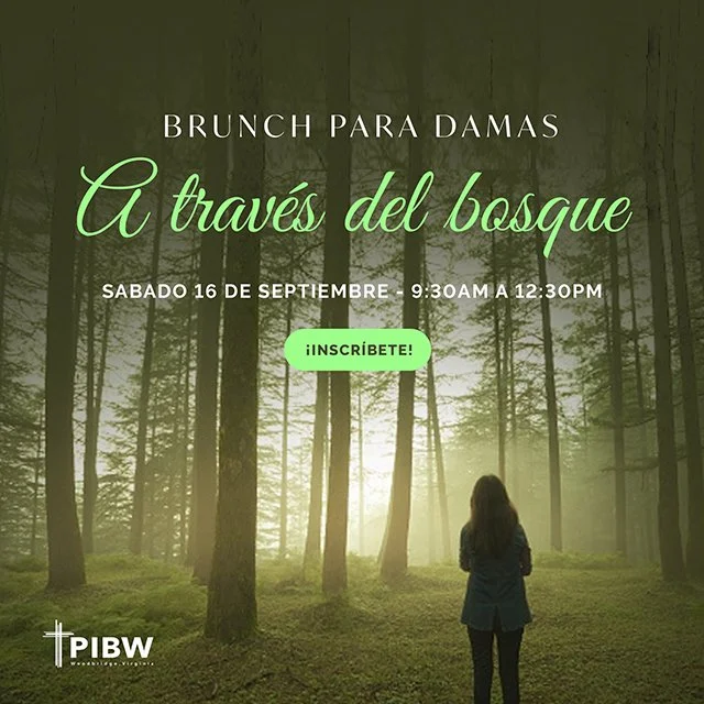 BRUNCH PARA DAMAS