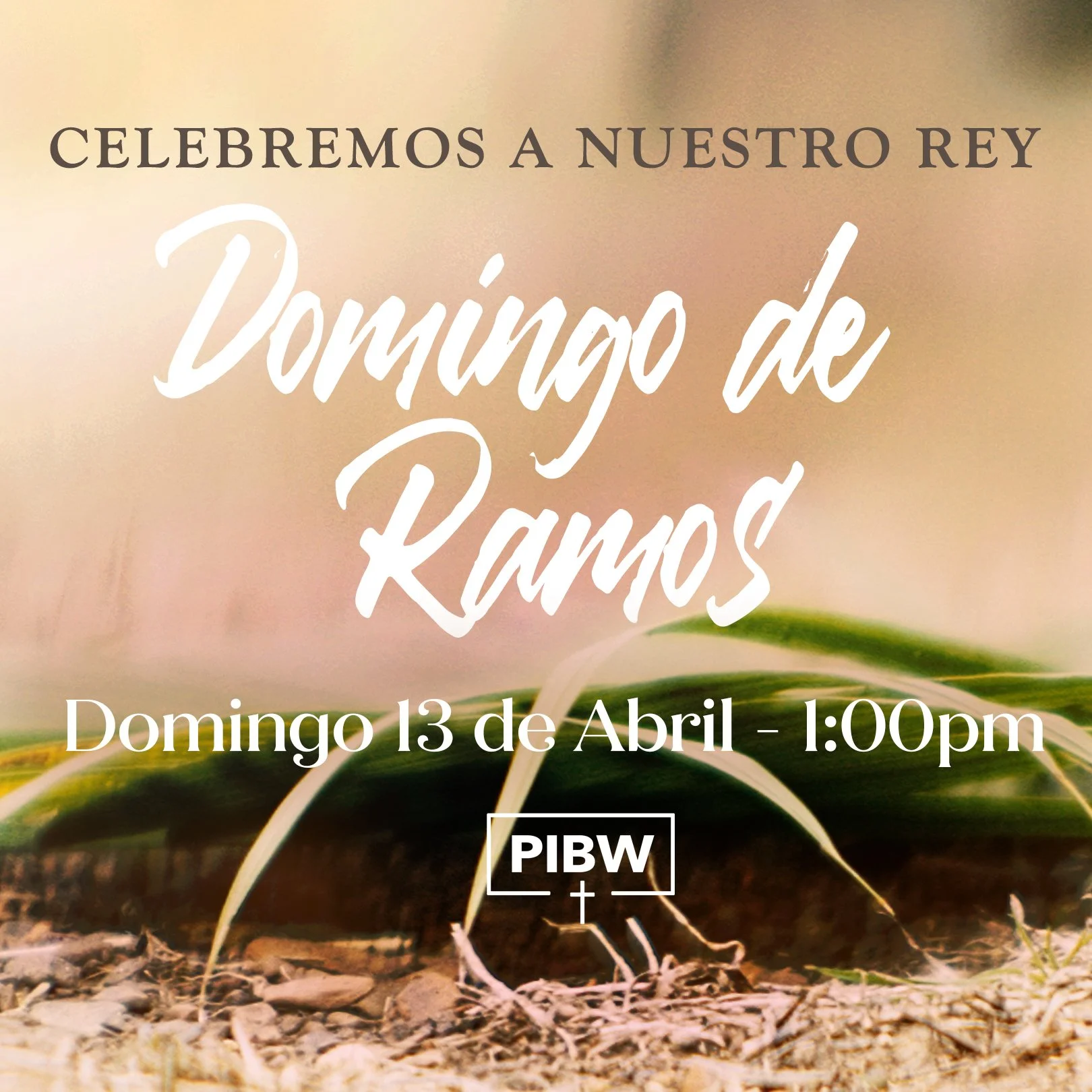 Servicio de Adoración 