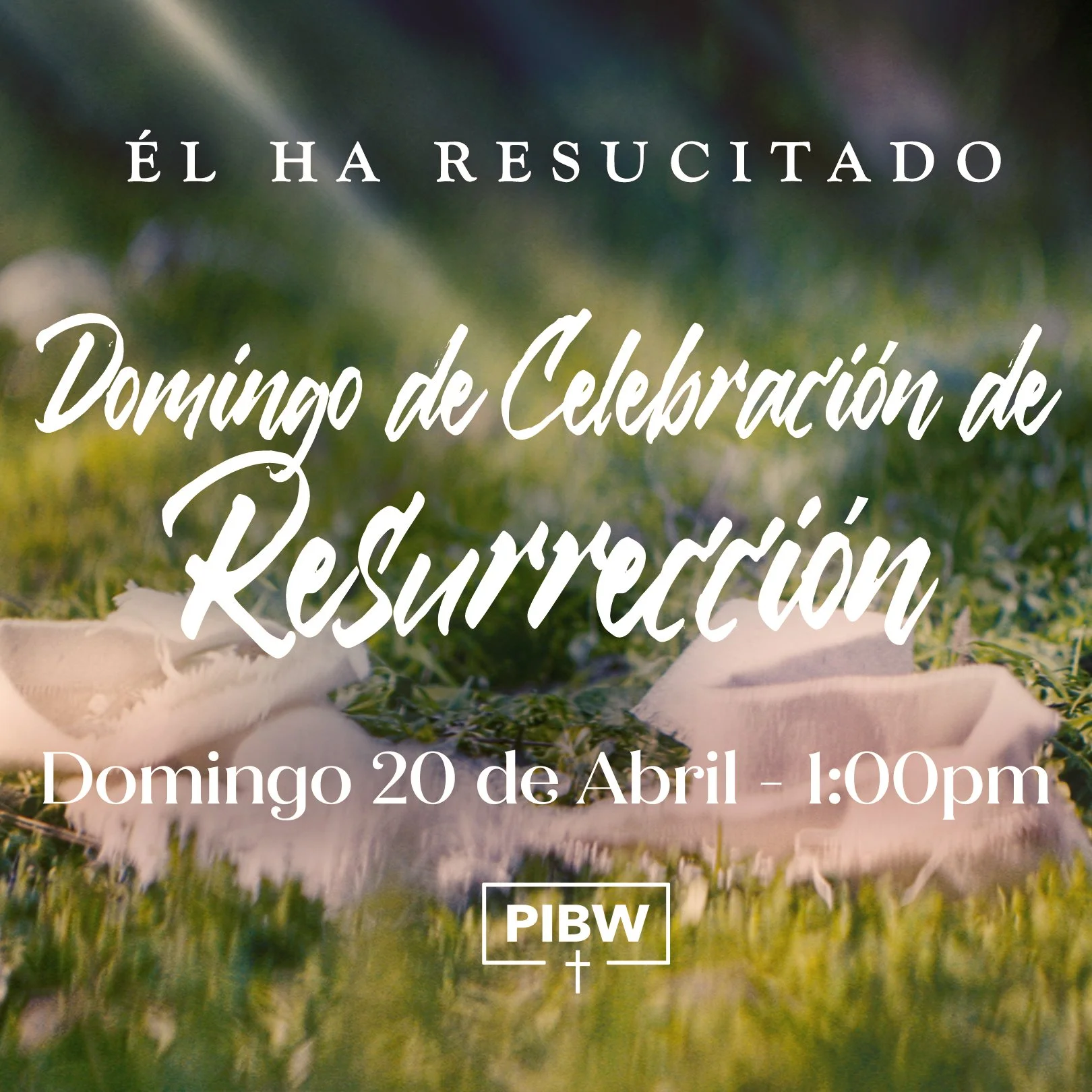 Servicio de Adoración