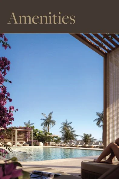 Amenities.jpg