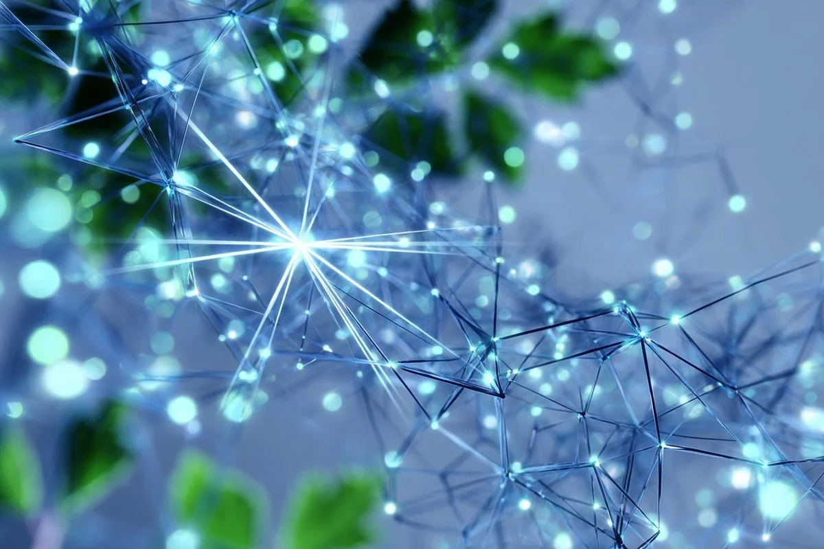 Online Marketing for Law Firms: Start with the Fundamentals