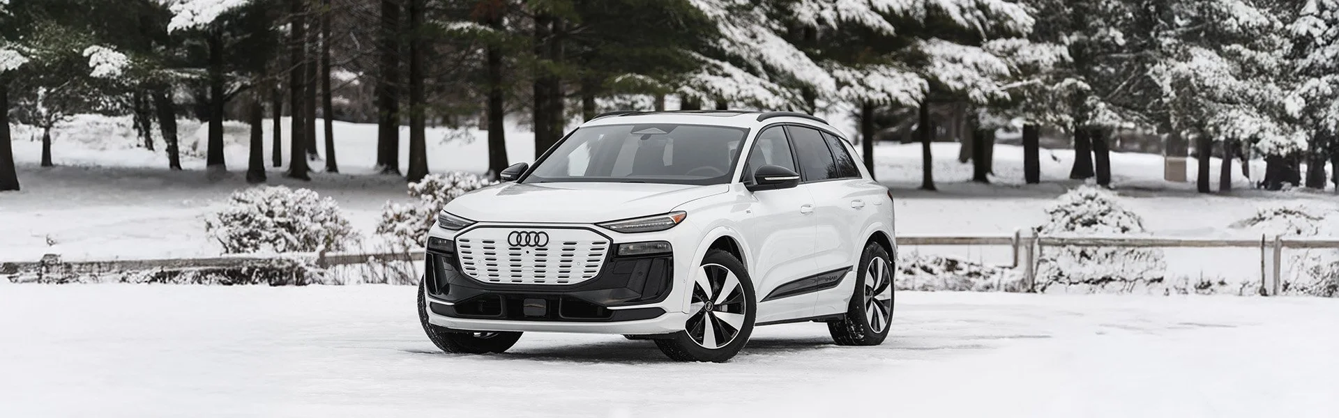 audi-levis-q6-winter-banner.jpg
