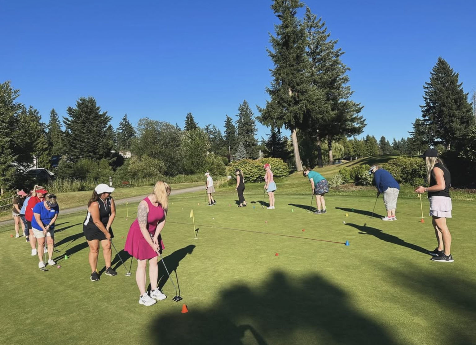 People practicing golf on a lush green golf course under a clear blue sky with tall trees in the background.