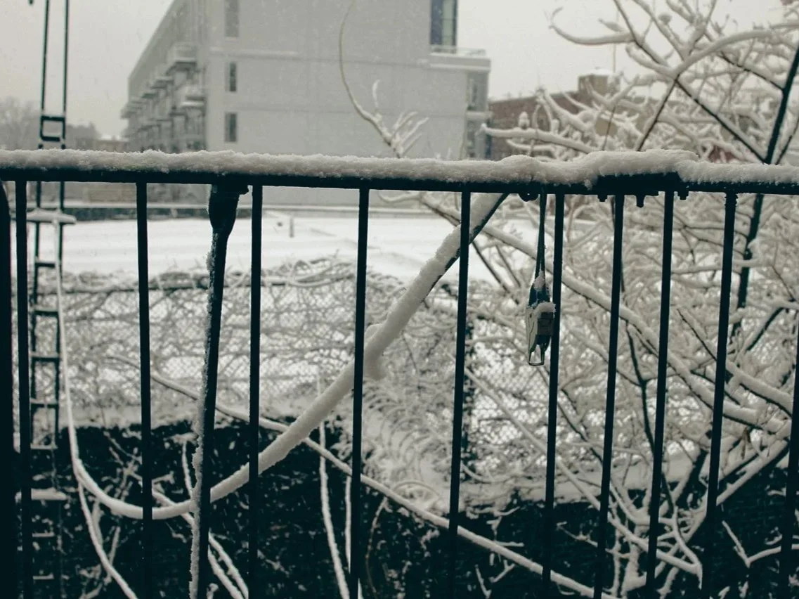 Frost-covered balcony railing with locked padlock and snow-covered branches in the background.
