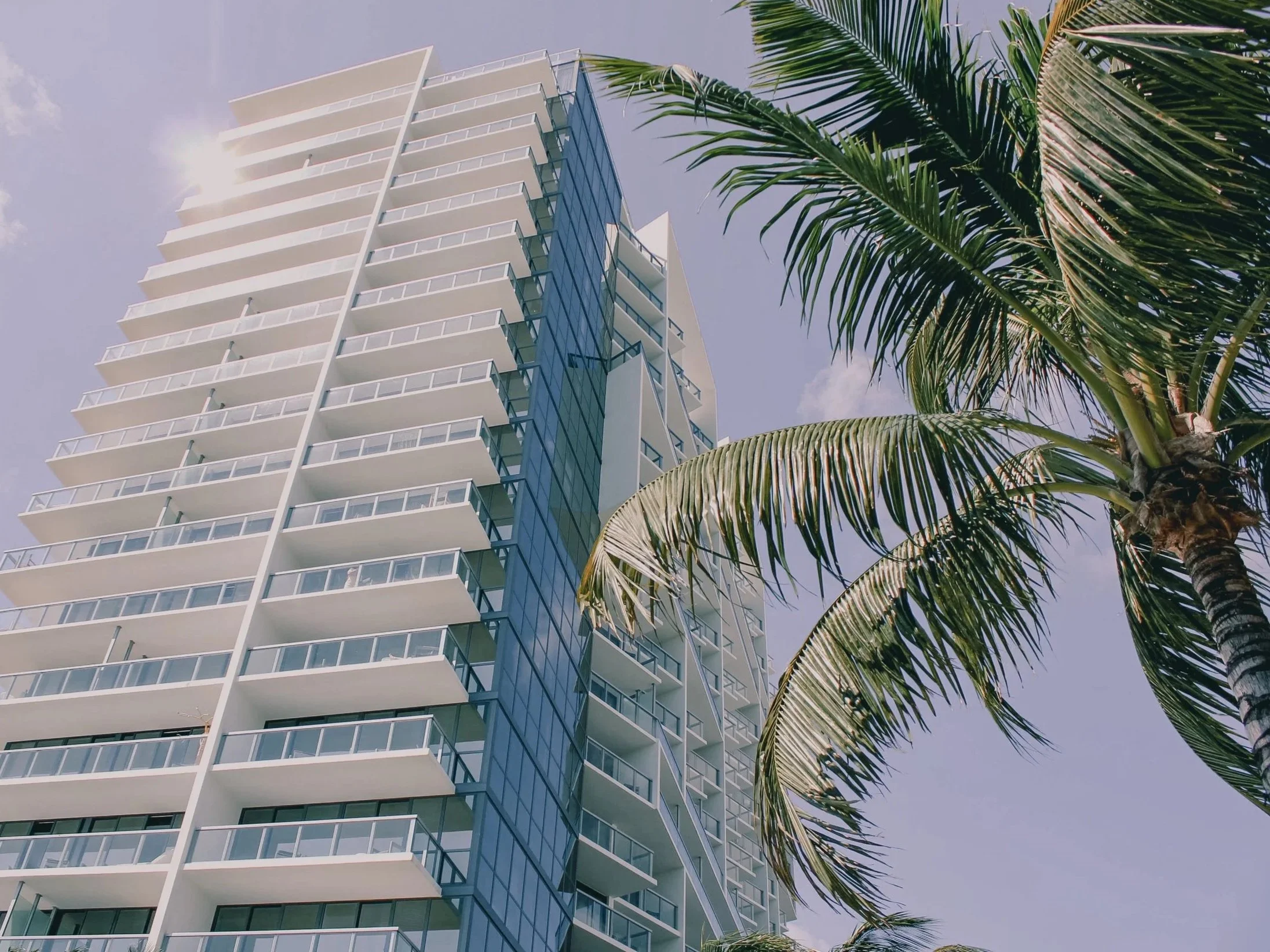 A tall modern building with balconies and glass exterior, partially shaded by a large palm tree against a blue sky.