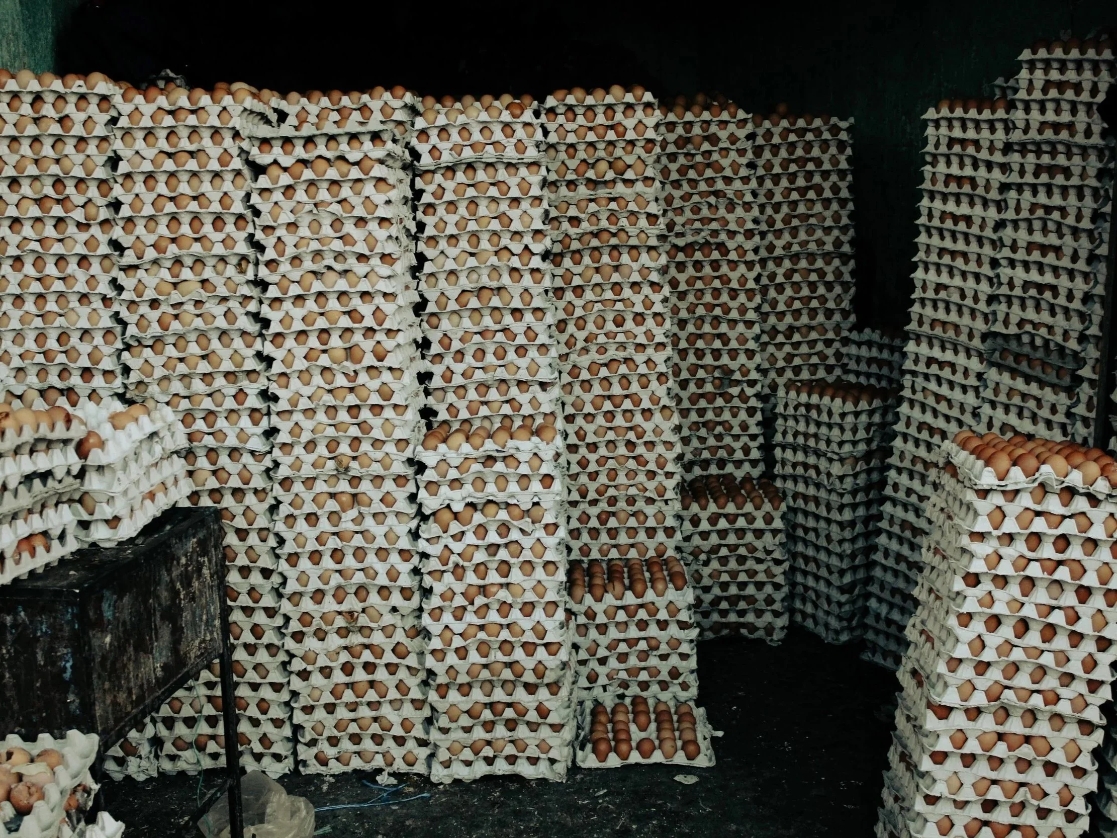 Stacks of egg cartons filled with brown eggs, stored in a dark room.