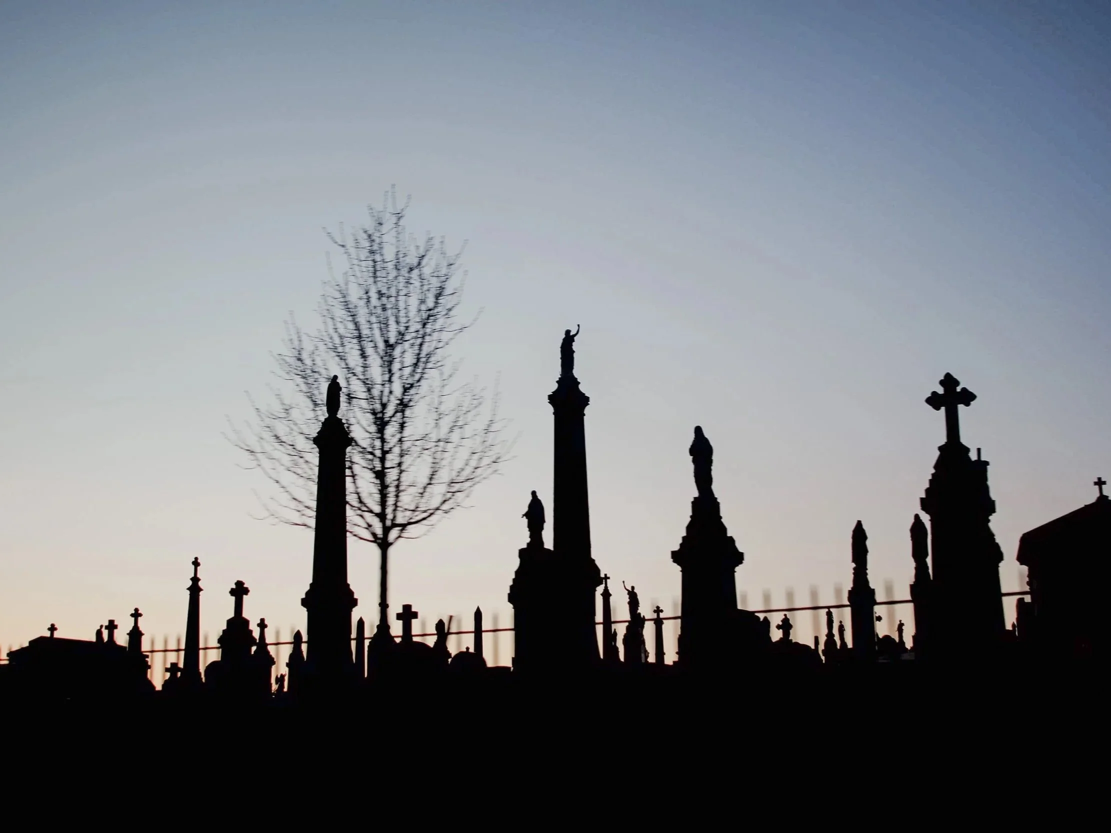 Silhouette of a cemetery with various crosses and statues on hilltop during sunset, with a leafless tree and a clear sky.