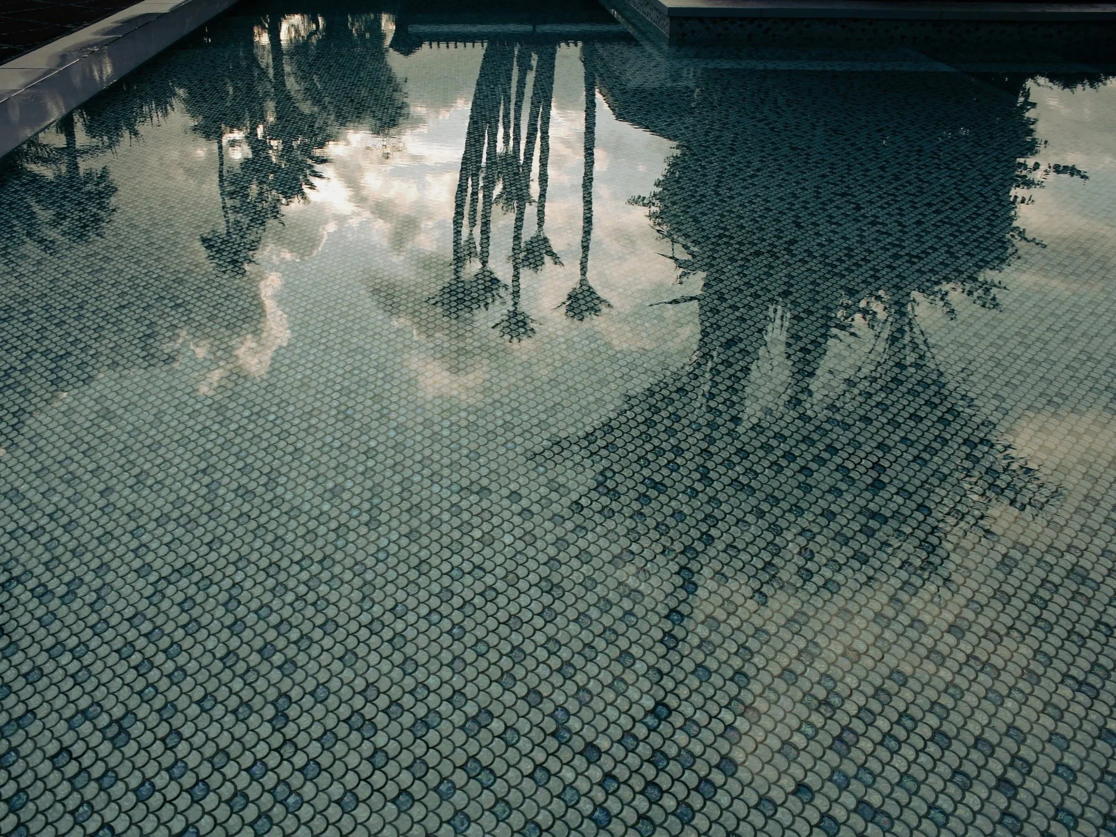 Reflection of palm trees and cloudy sky on the surface of a tiled swimming pool.