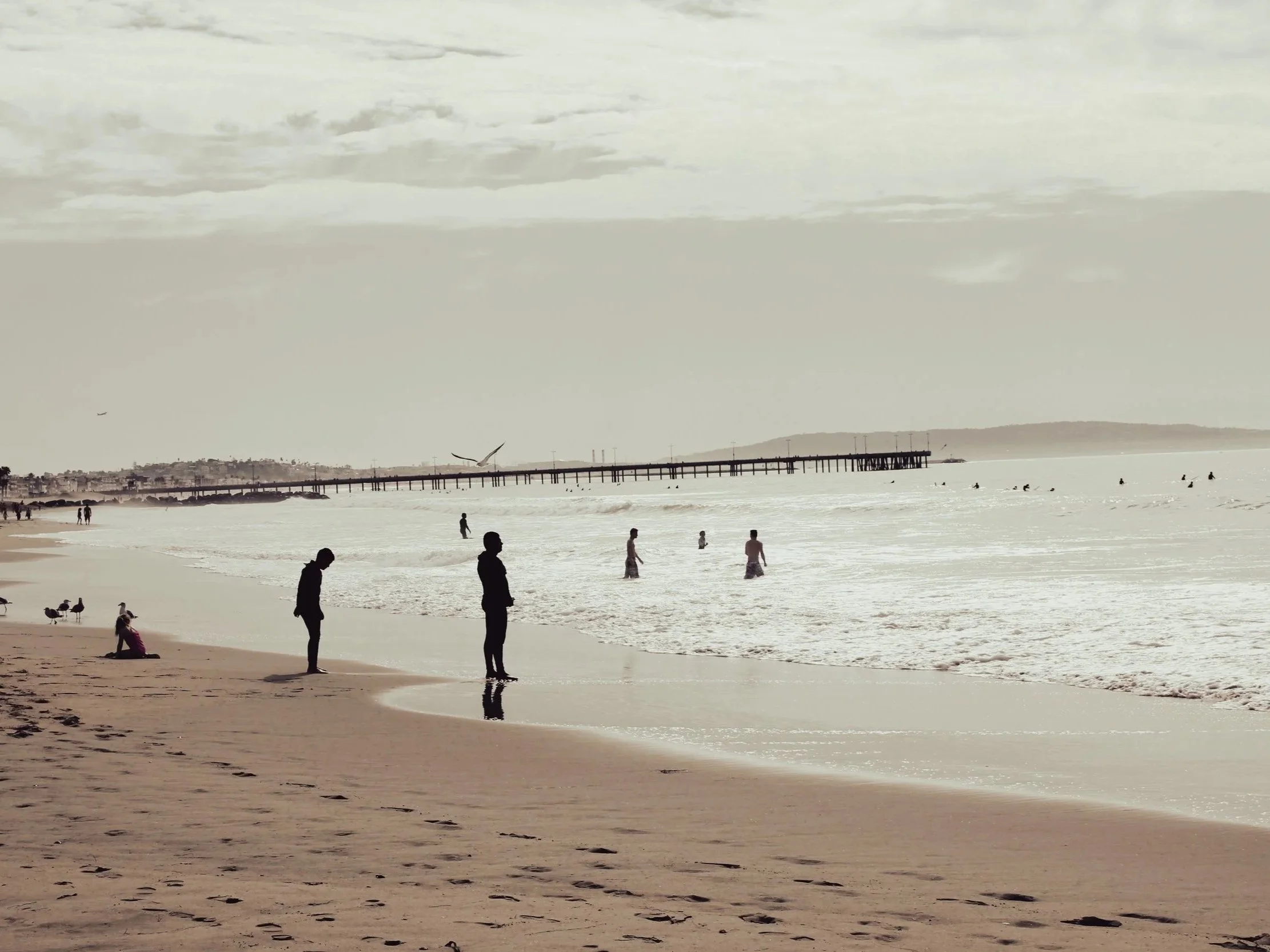 Silhouetted people standing on a sandy beach near the shoreline with some individuals swimming and birds flying overhead; a pier extends into the water in the background.