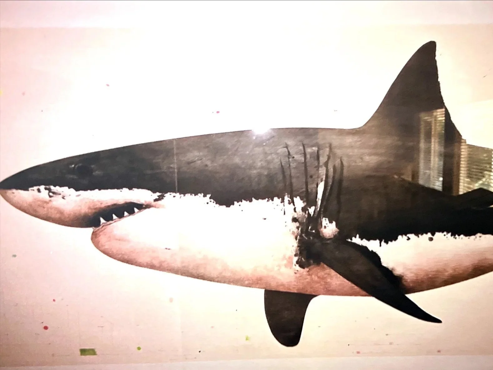 A collage combining a photograph of a shark with city buildings reflected on its side and another image of a fish's mouth with sharp teeth.