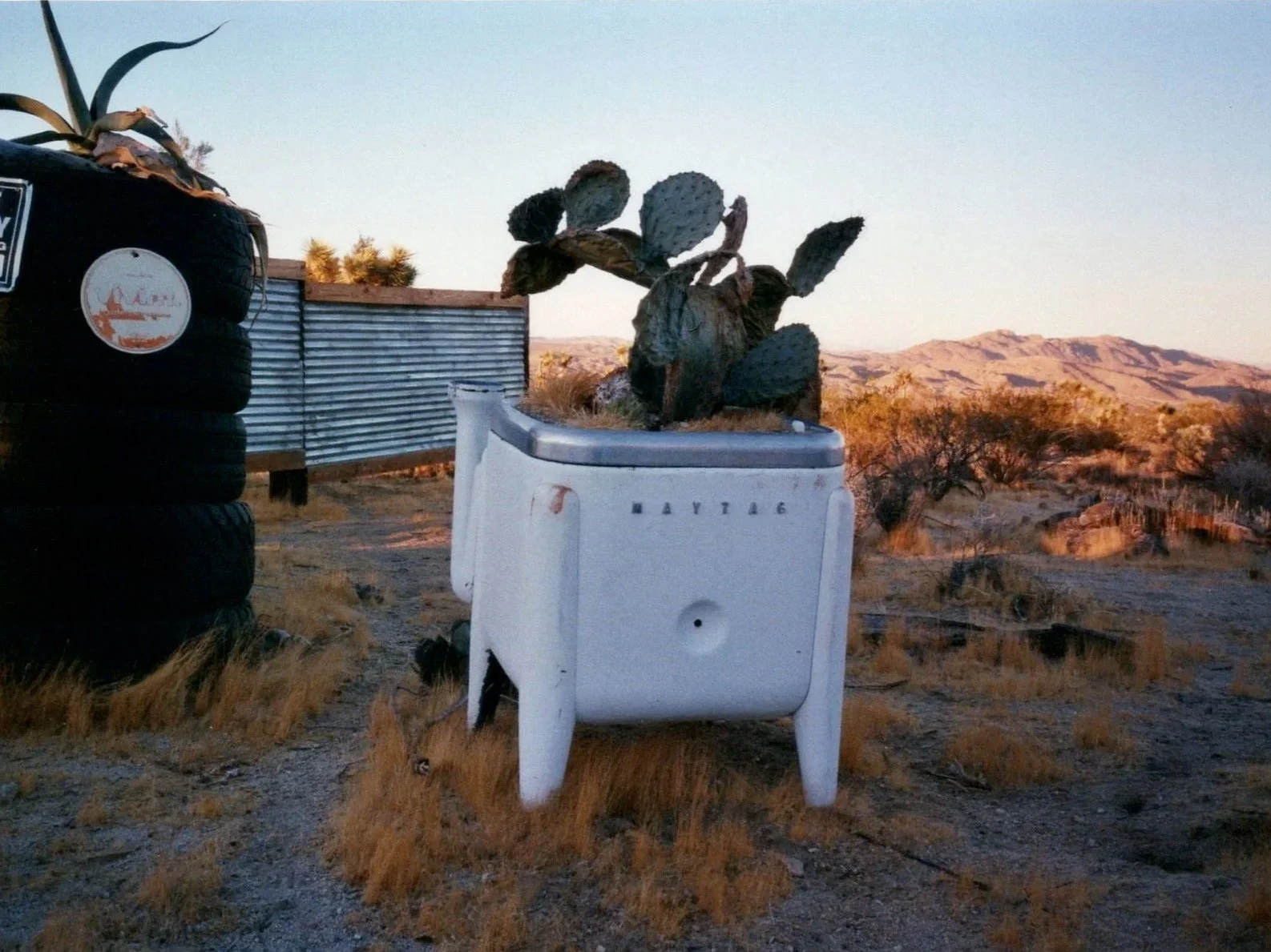 A cactus planted in a vintage refrigerator in a desert landscape during sunset.