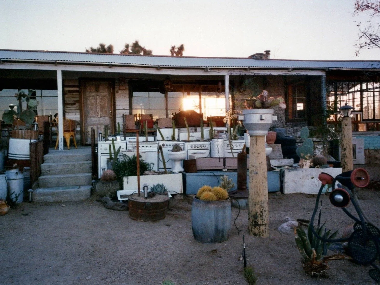 A rustic outdoor porch and yard area with various potted plants, old appliances, and garden decorations, illuminated by the setting sun.