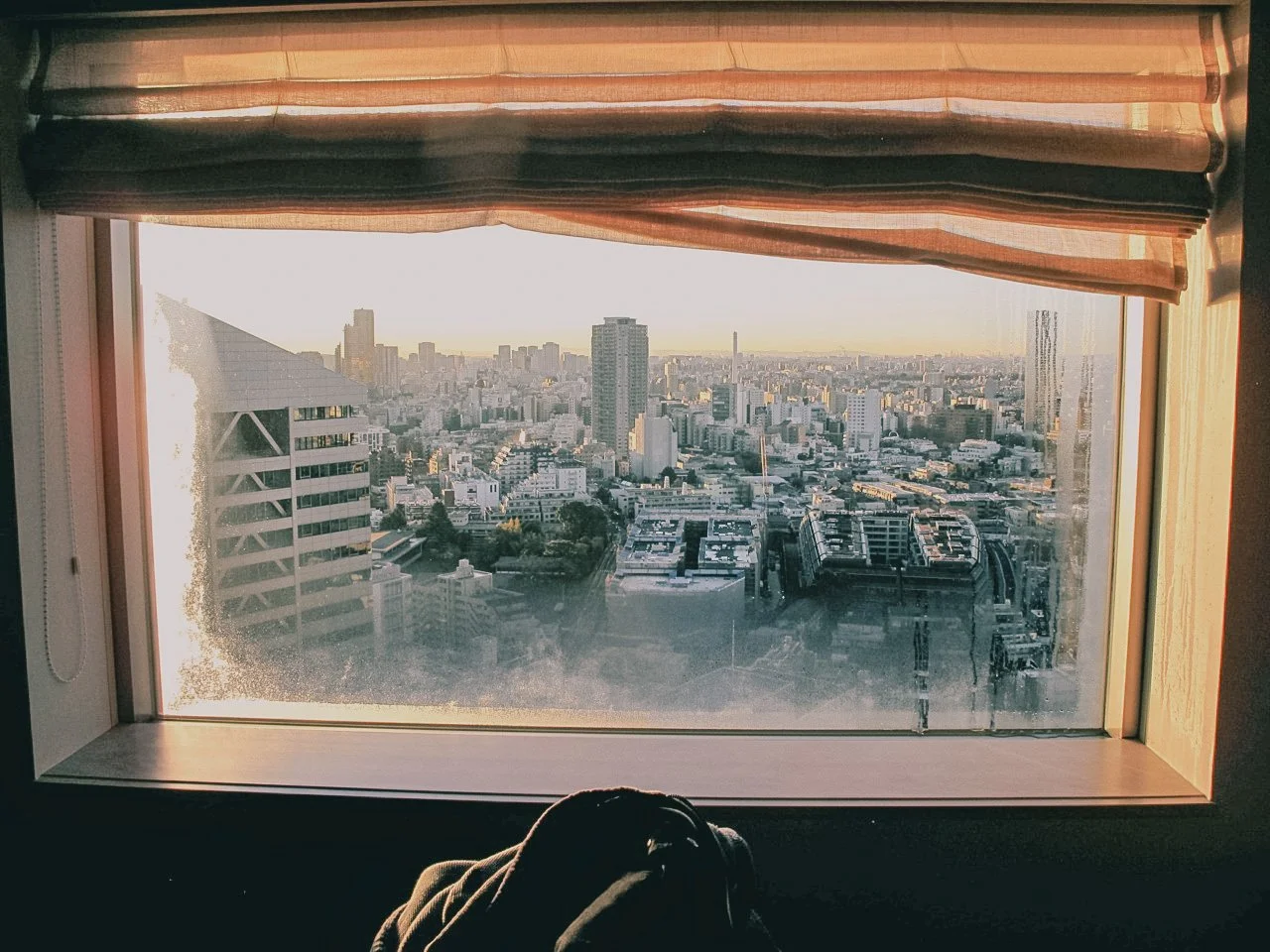 View of a city skyline from a window during sunset, with buildings and skyscrapers visible, and a dog lying on the windowsill.