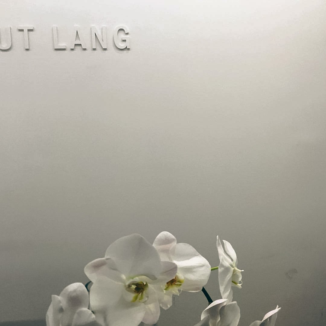 White orchids with their reflection visible on a reflective surface against a plain light background.