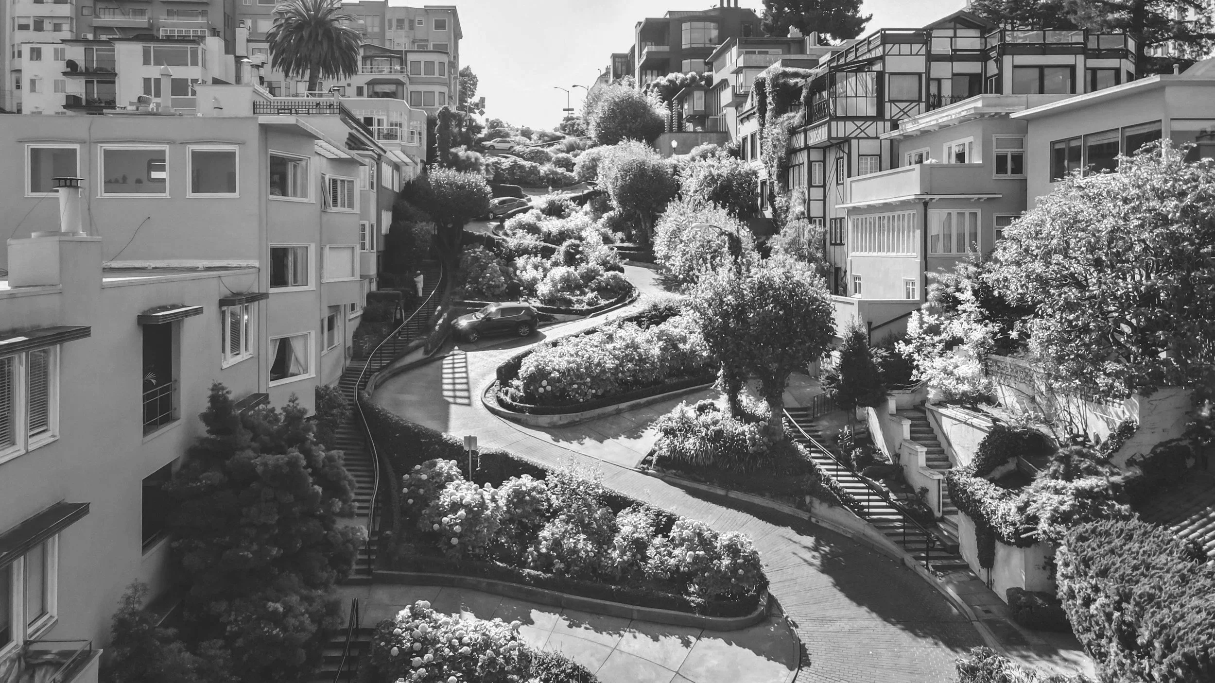 Lombard Street. A hilly residential neighborhood with multi-story houses, trees, bushes, and parked cars along winding pathways.