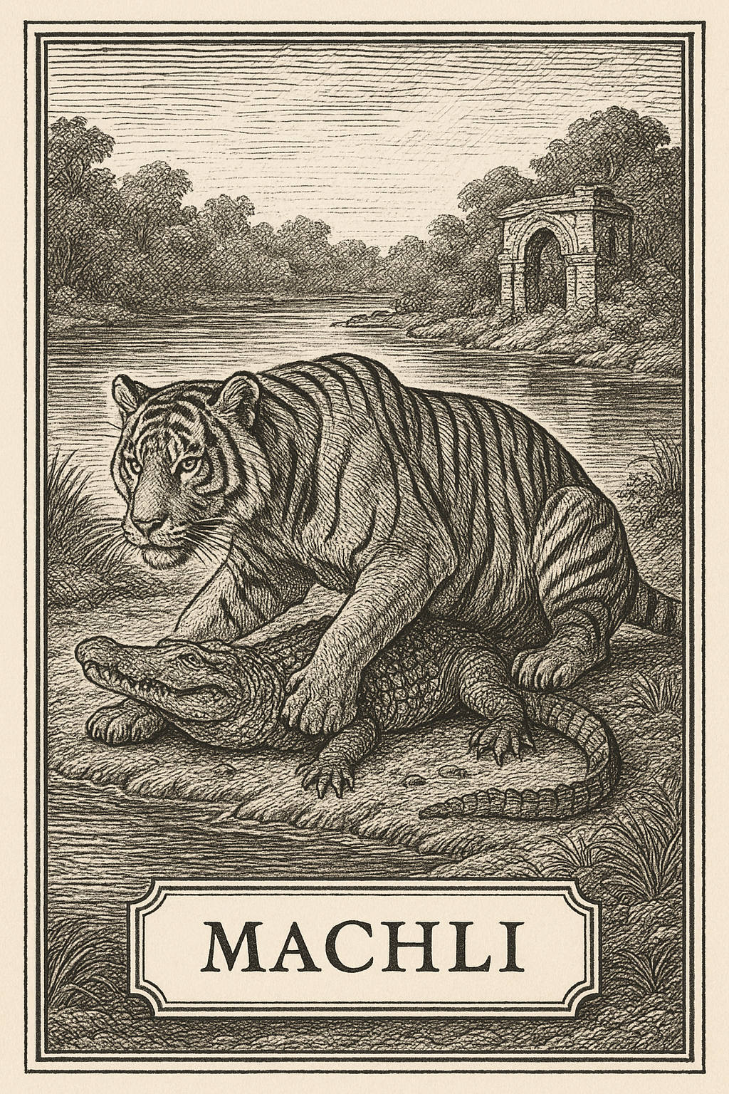 Engraved-style illustration of a Bengal tigress pinning a mugger crocodile on a riverbank near ancient stone ruins, rendered in detailed cross-hatching.