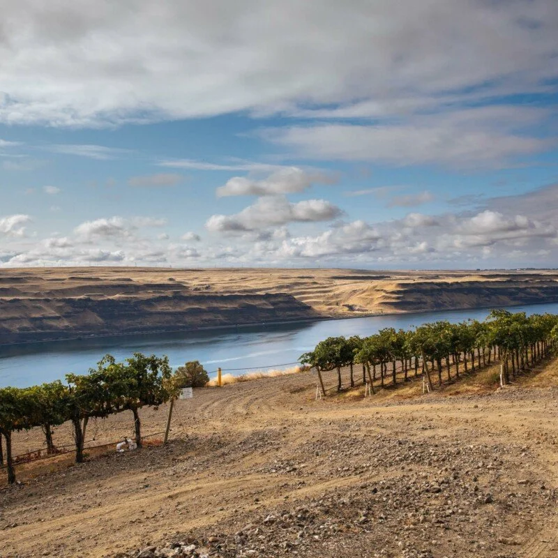 Pour Decisions: Gilles Nicault and Long Shadows Vintners