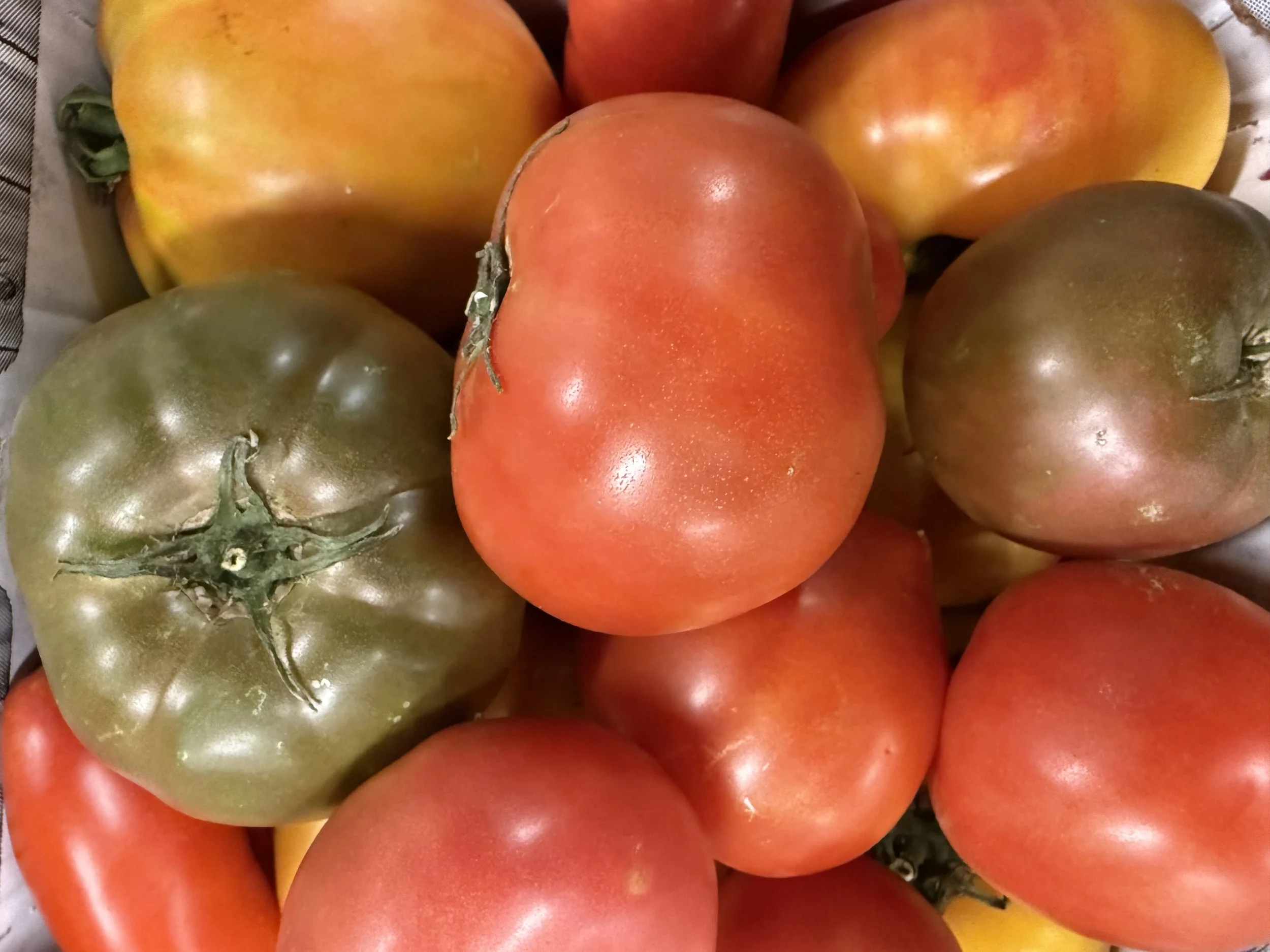 Class: Frog Hollow Farm Heirloom Tomatoes