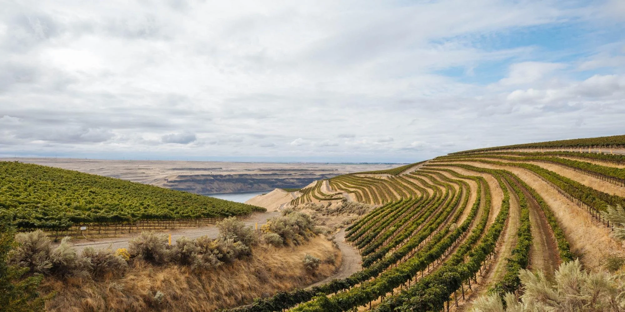 Pour Decisions: Gilles Nicault and Long Shadows