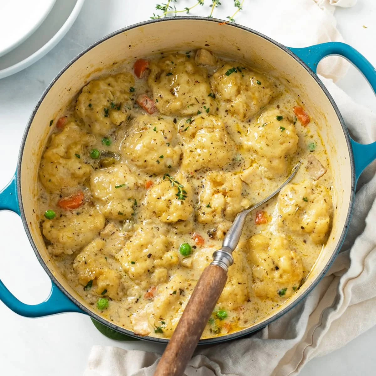 Class: Soup Series - Chicken &amp; Dumplings